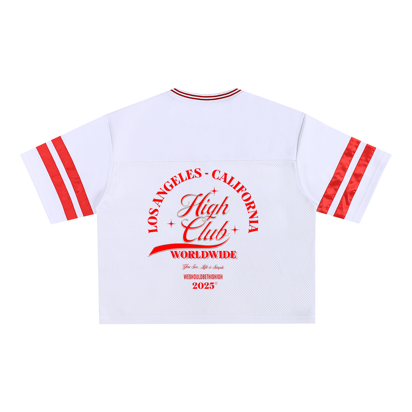 WeShouldBeThisHigh" - Taped Mesh Boxy T-Shirt