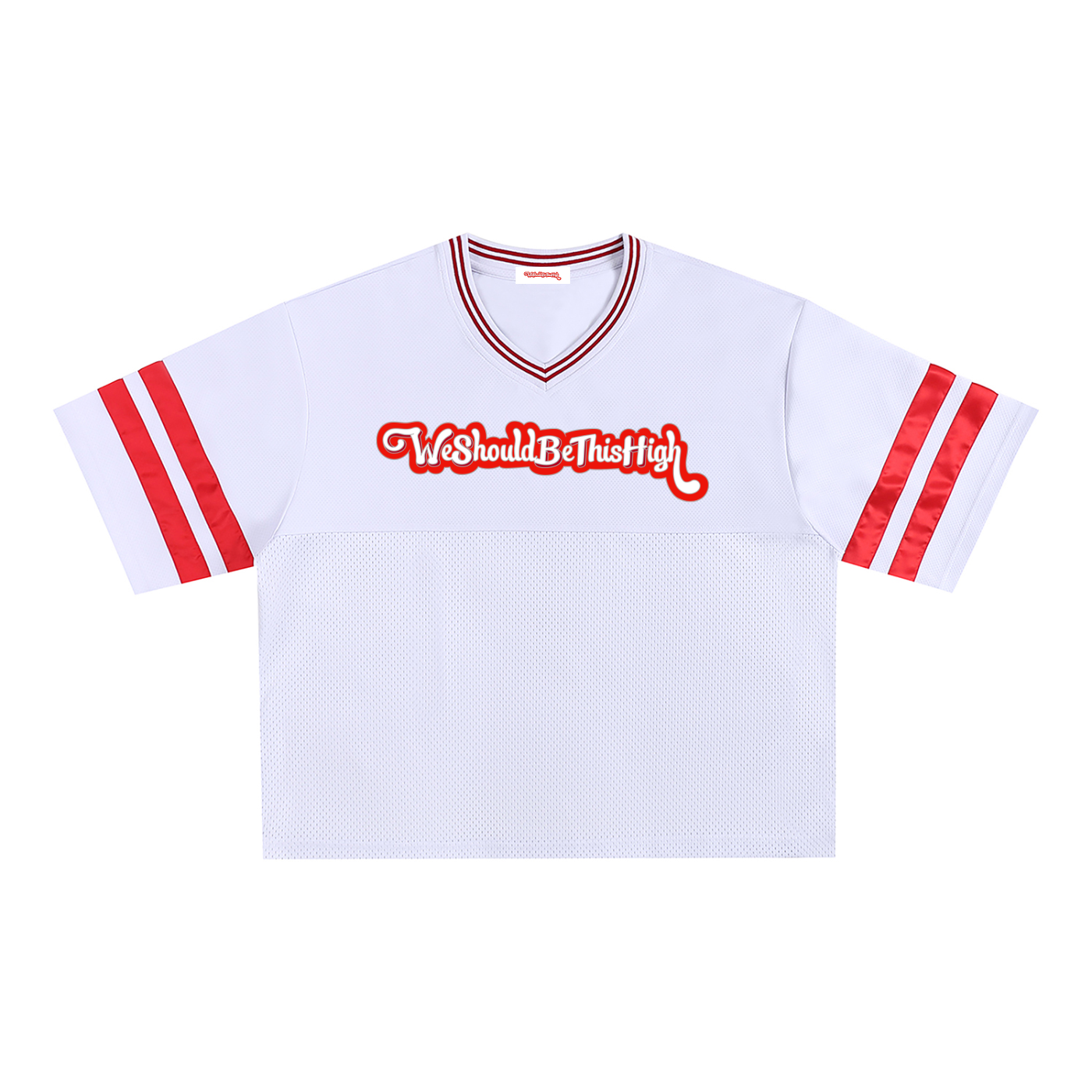 WeShouldBeThisHigh" - Taped Mesh Boxy T-Shirt